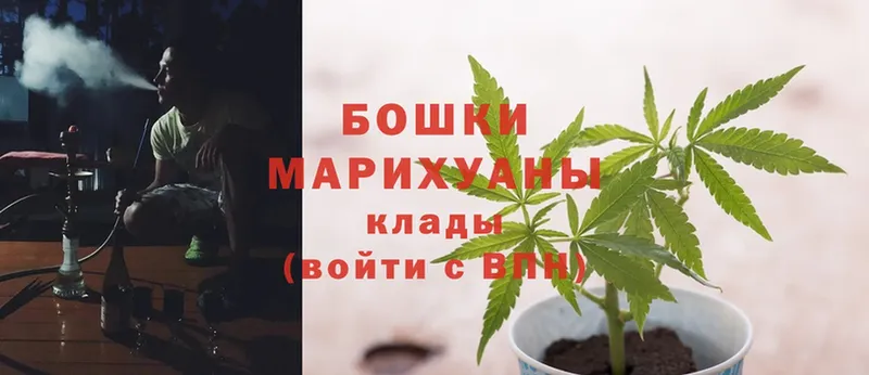 Канабис LSD WEED  мориарти как зайти  Курчалой 